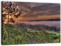 Misty Swedish Pine Valley Wall Art