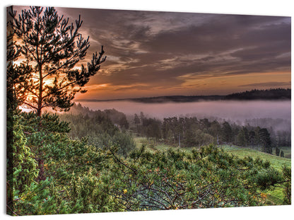 Misty Swedish Pine Valley Wall Art