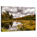 Michigan Autumn Marsh Wall Art