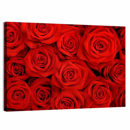 Red Roses Close Up Wall Art