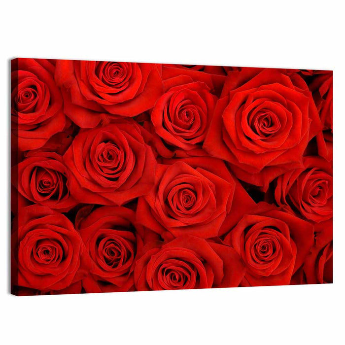 Red Roses Close Up Wall Art as a canvas print