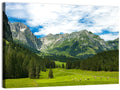 Arnibach Valley Summer Meadow Wall Art