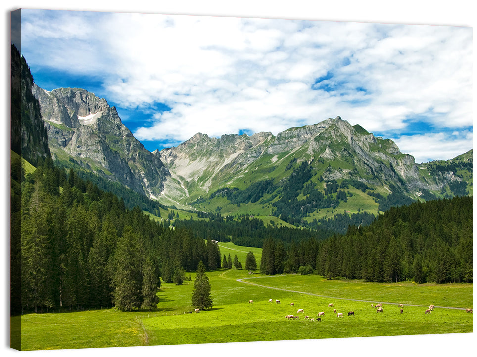 Arnibach Valley Summer Meadow Wall Art, canvas print, landscape