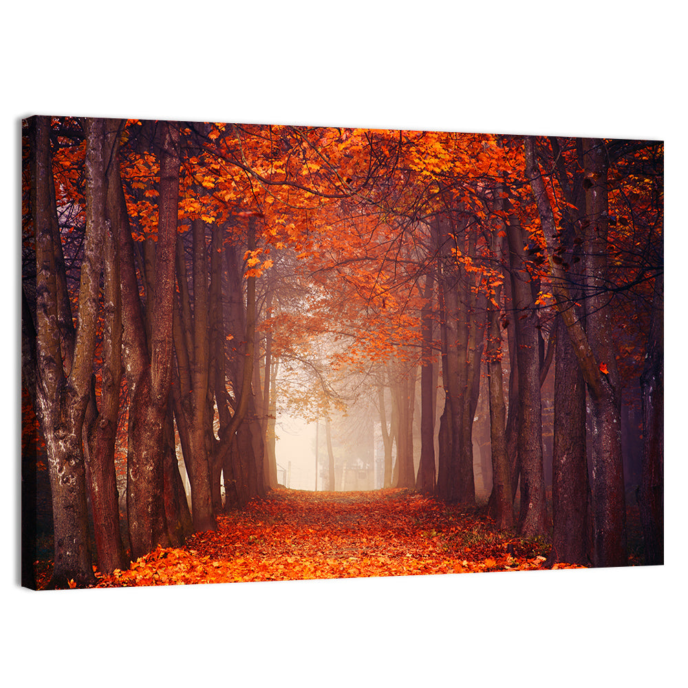 Misty Autumn Forest Path Wall Art