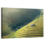 Golden Rice Terraces Wall Art