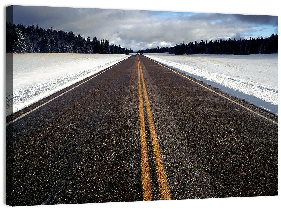 Winter Road Through Pine Forest Wall Art