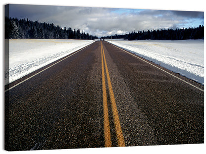 Winter Road Through Pine Forest Wall Art