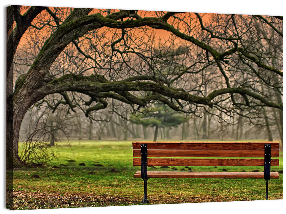 Misty Autumn Park Bench Wall Art