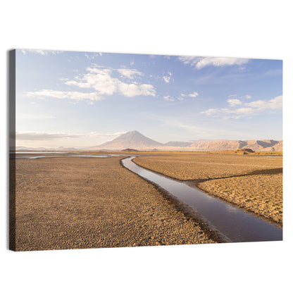 Lake Natron with Ol Doinyo Lengai Wall Art