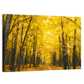Yellow Autumn Forest Path Wall Art