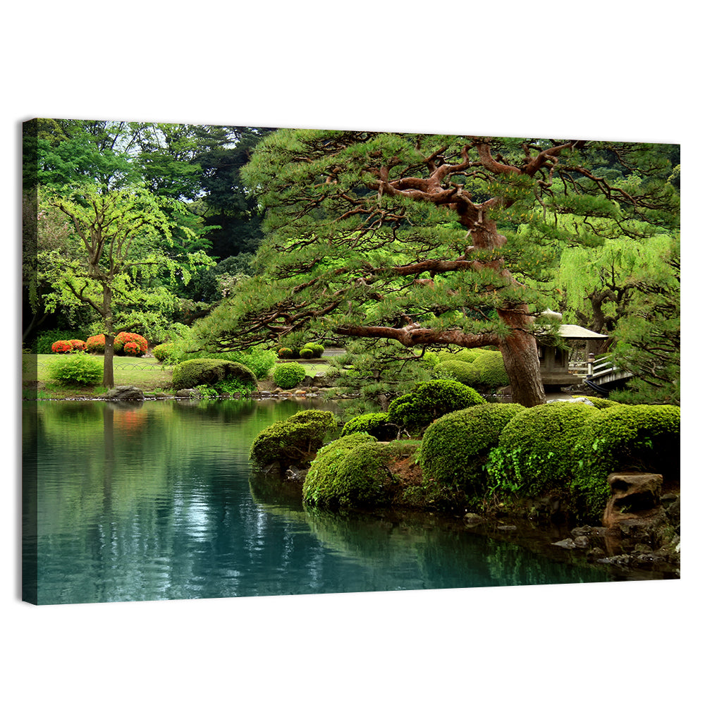 Bonsai Pine Over Tranquil Pond Wall Art