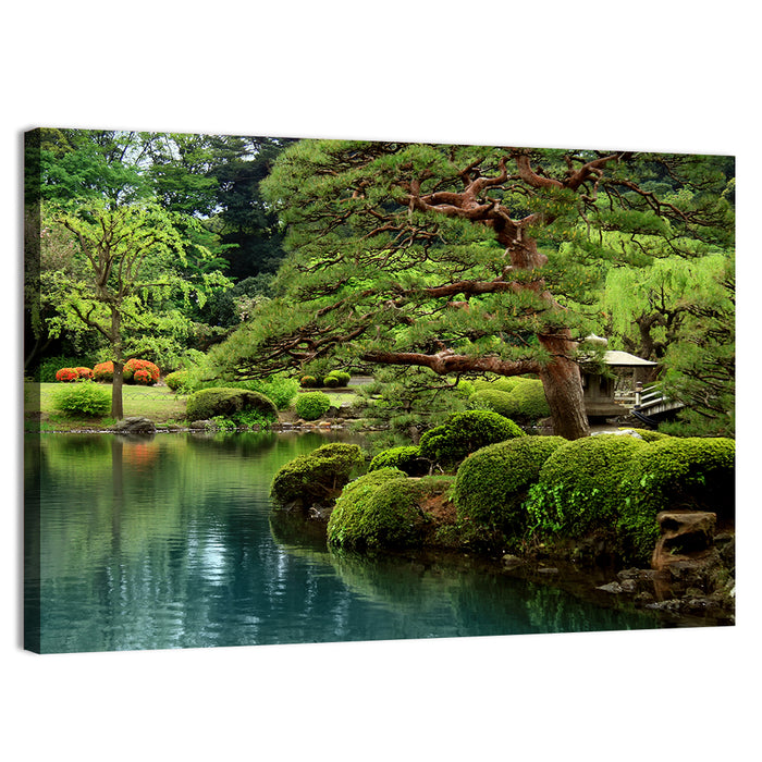 Bonsai Pine Over Tranquil Pond Wall Art as a canvas print