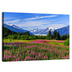 Juneau Meadow with Mendenhall Glacier Wall Art