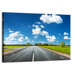 Asphalt Road Through Meadow Wall Art