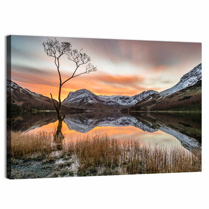 Lonesome Pine, Ullswater Sunrise Wall Art