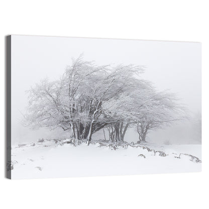Rime Coated Winter Trees Wall Art