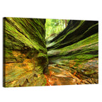 Turkey Run State Park Canyon Wall Art