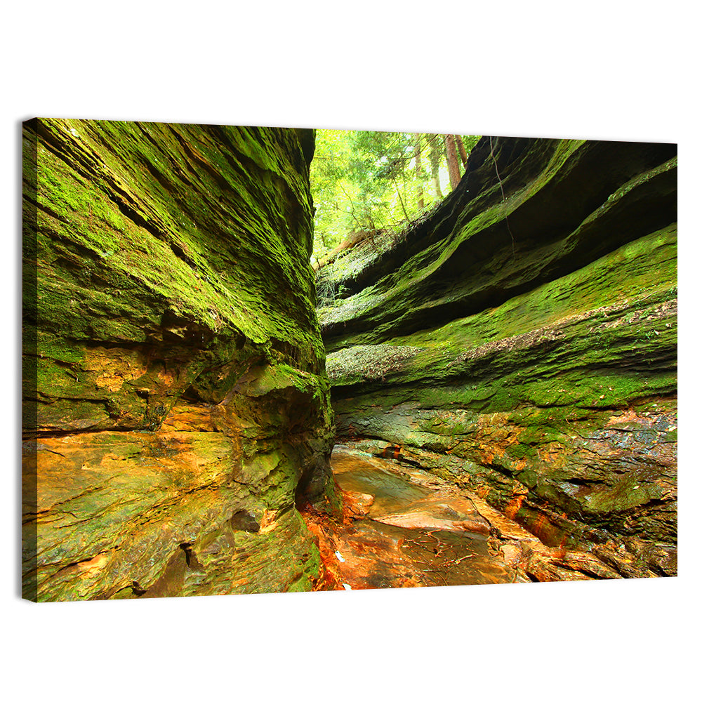 Turkey Run State Park Canyon Wall Art