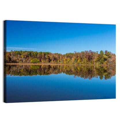 Petit Jean Lake Reflection Wall Art