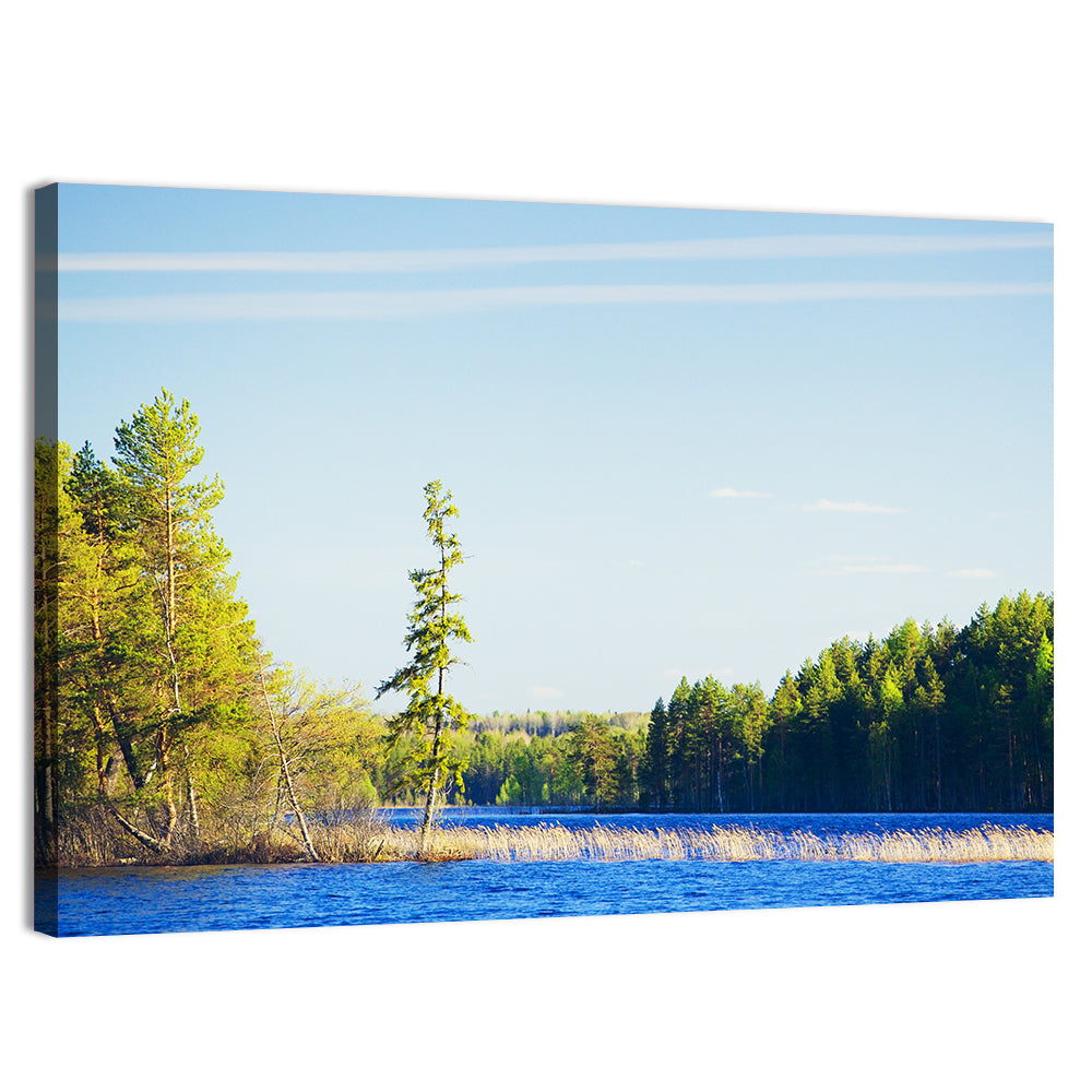 Summer Forest Lake Shoreline Wall Art, canvas print, landscape