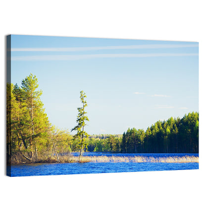 Summer Forest Lake Wall Art