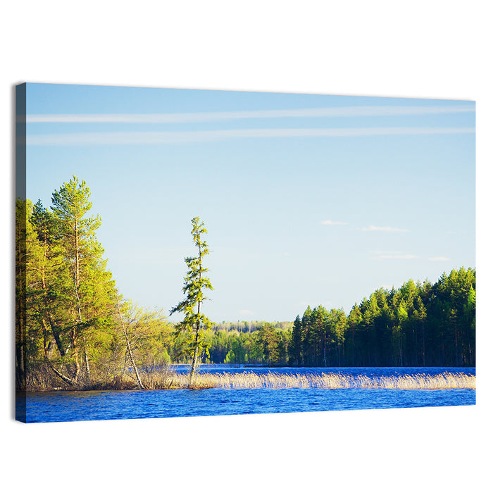 Summer Forest Lake Shoreline Wall Art as a canvas print