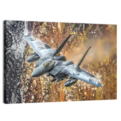 F-15 Over Mountain Canyon Wall Art