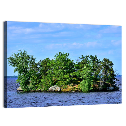 Petenwell Lake Island Wall Art