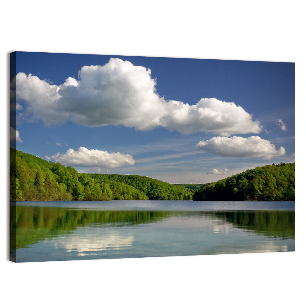 Plitvice Forest Lake Scene Wall Art, canvas print, landscape