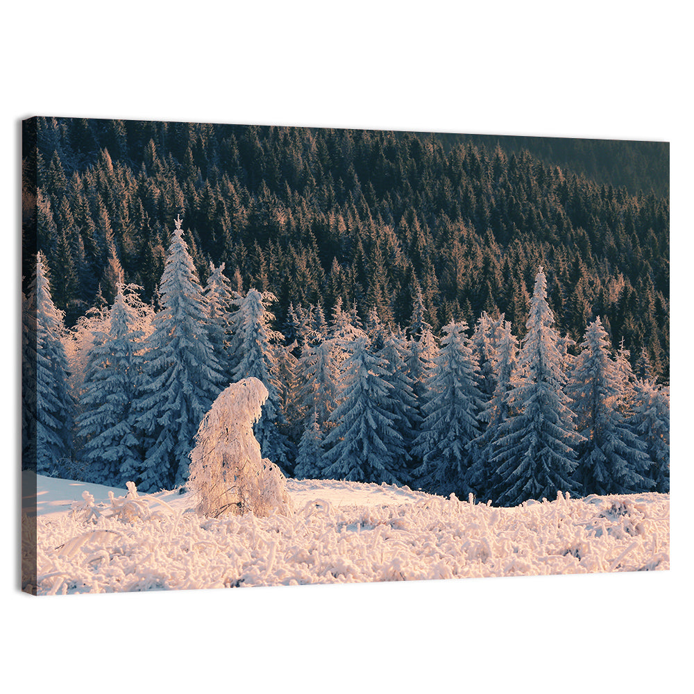 Carpathian Forest at Golden Hour Wall Art