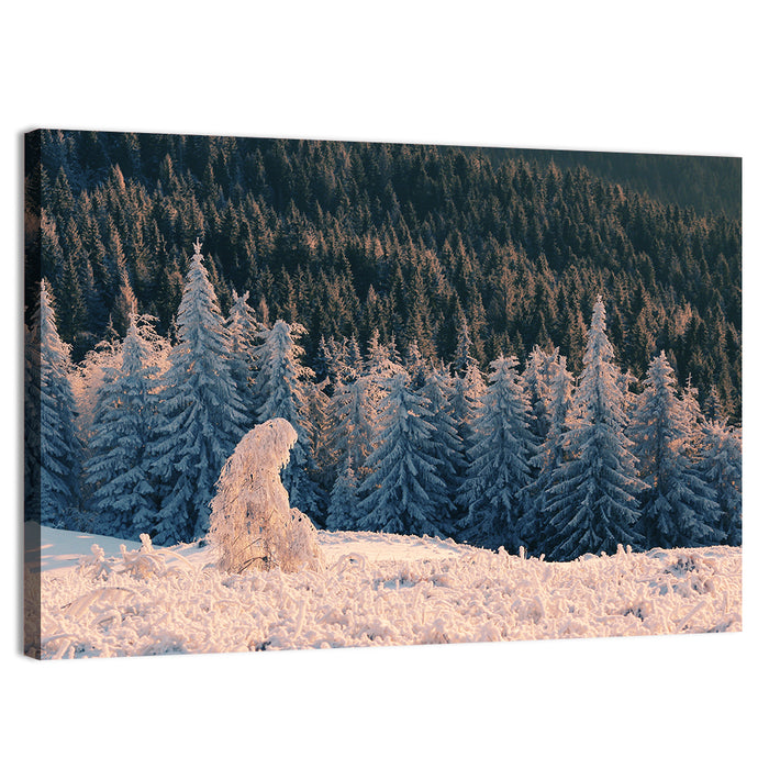 Carpathian Forest at Golden Hour Wall Art as a canvas print