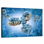 Y-shaped Antibody Illustration Wall Art
