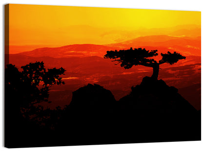 Gnarled Tree at African Sunset Wall Art
