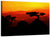 African Sunset Landscape Wall Art