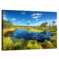 Viru Bogs Reflections Wall Art