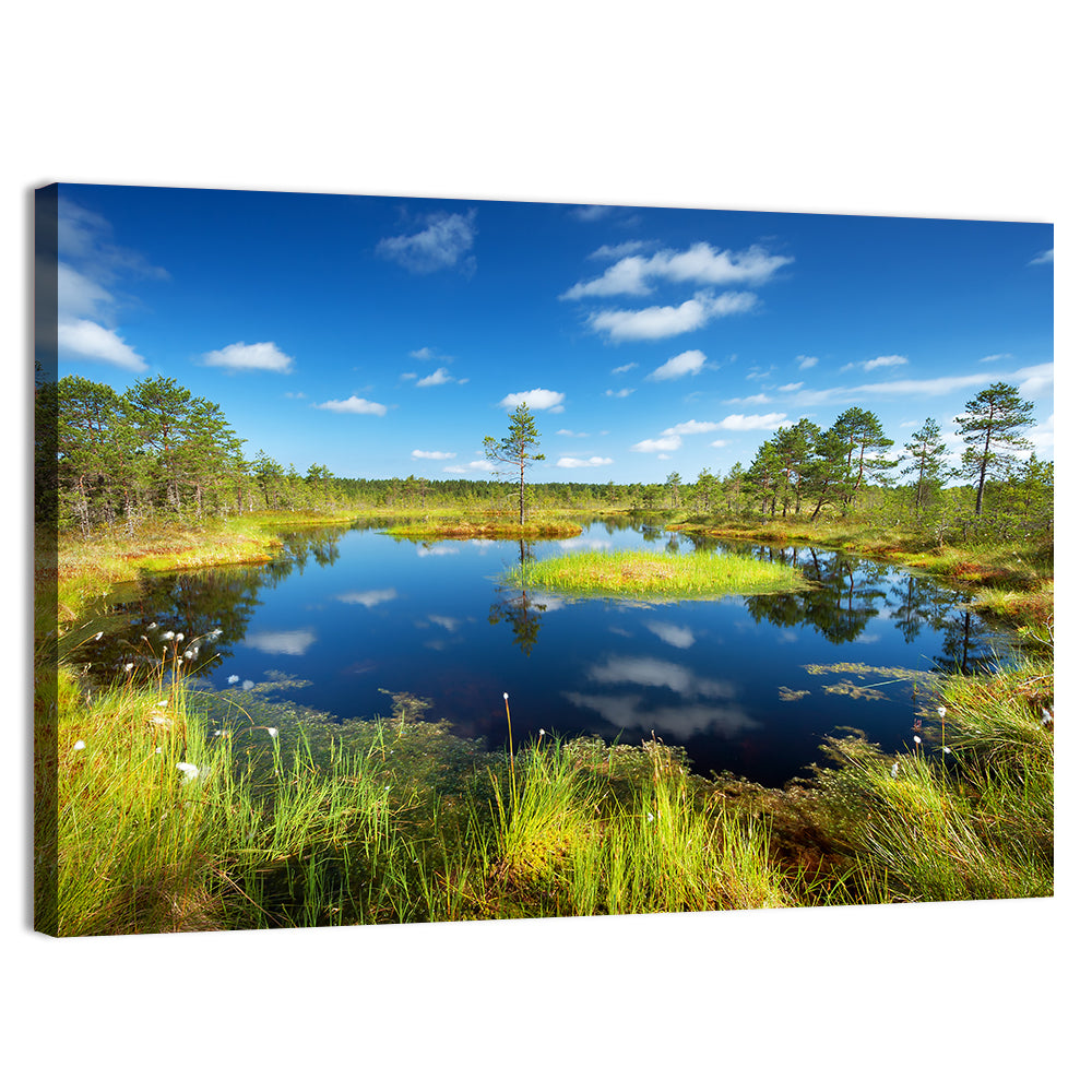 Viru Bogs Reflections Wall Art