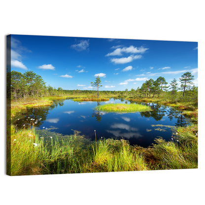 Viru Bogs Reflections Wall Art