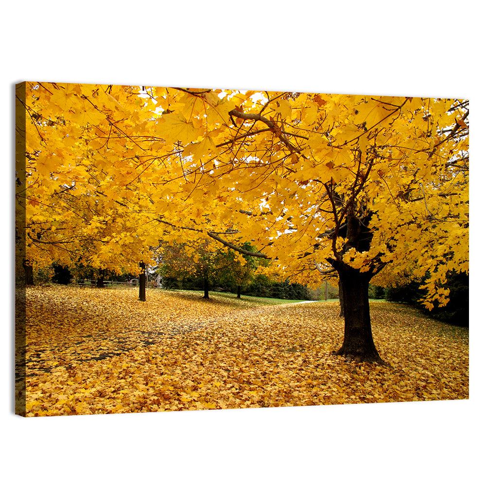 Baltimore Autumn Foliage Wall Art, canvas print, landscape