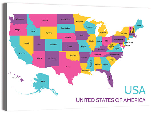 USA Detailed Map Wall Art