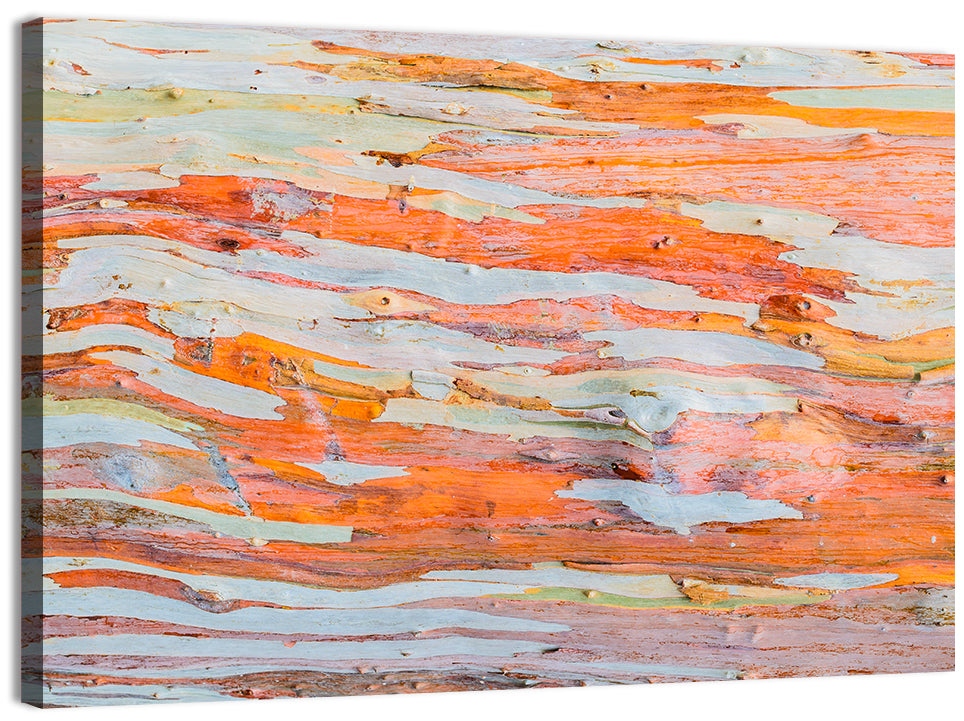 Abstract Eucalyptus Bark Layers Wall Art