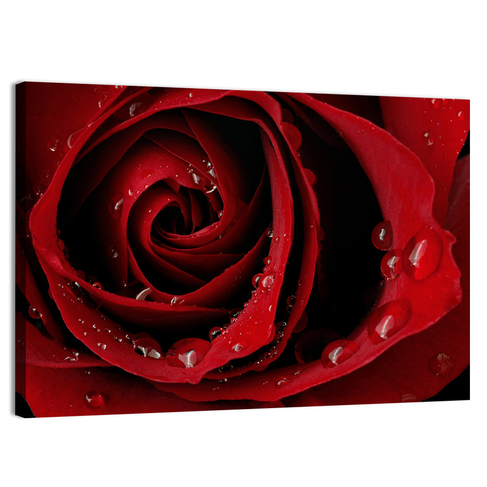 Red Rose with Dew Drops Wall Art