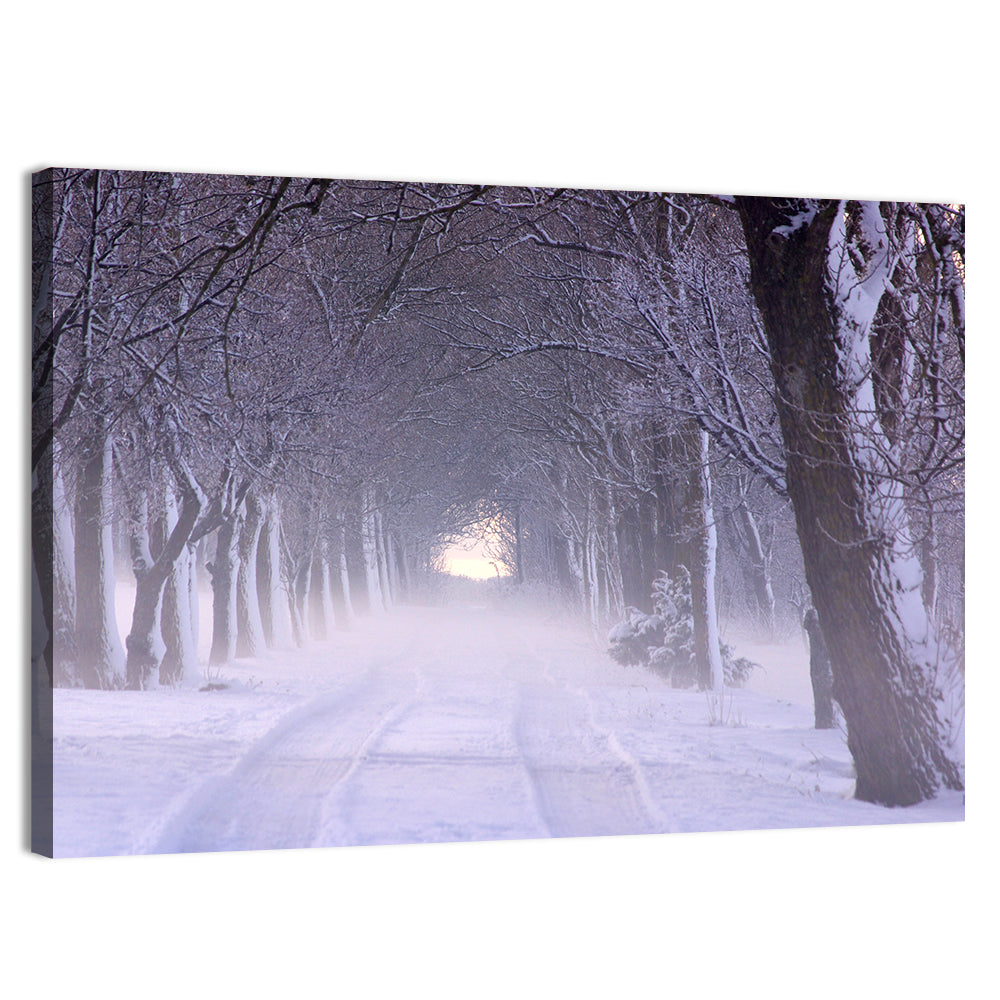 Kuressaare Park Snowy Path Wall Art
