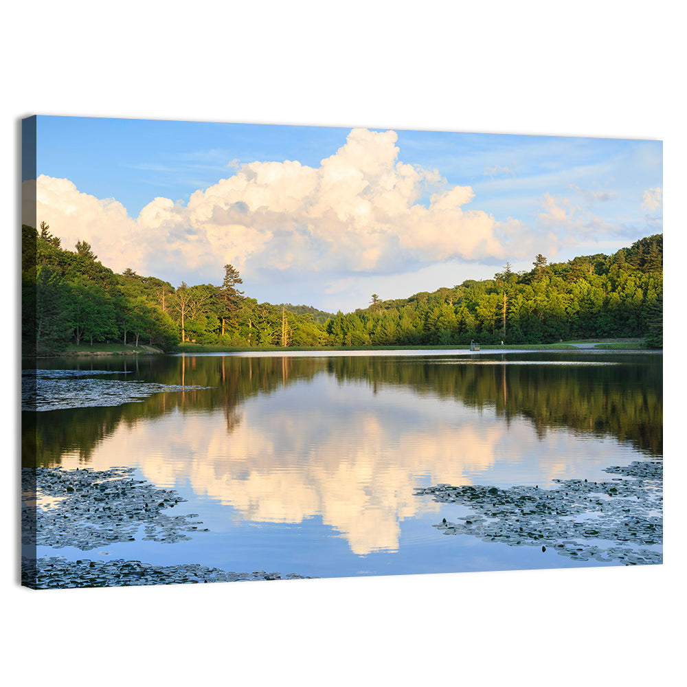 Bass Lake Reflection Wall Art, canvas print, landscape