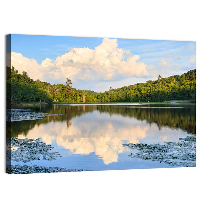 Bass Lake Reflection Wall Art as a canvas print
