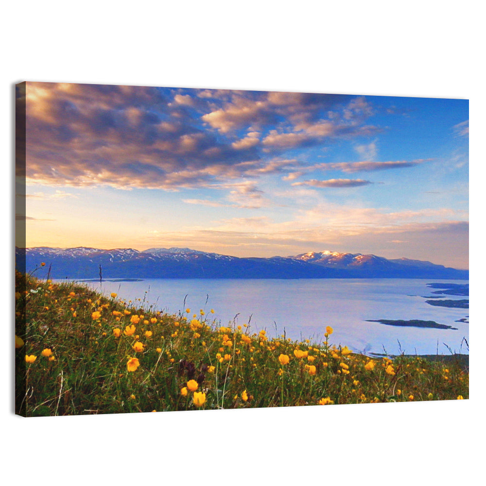 Abisko National Park Sunrise Wall Art