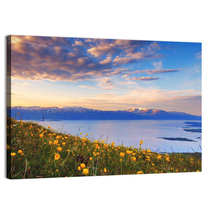 Abisko National Park Sunrise Wall Art