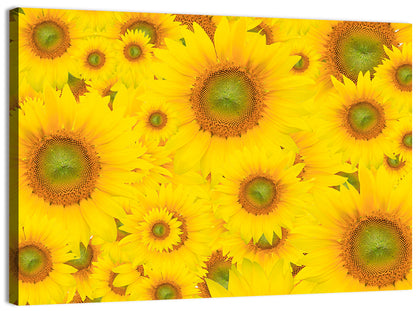 Sunflower Field Close-up in Yellow Wall Art