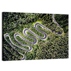 Serpentine Mountain Road Wall Art