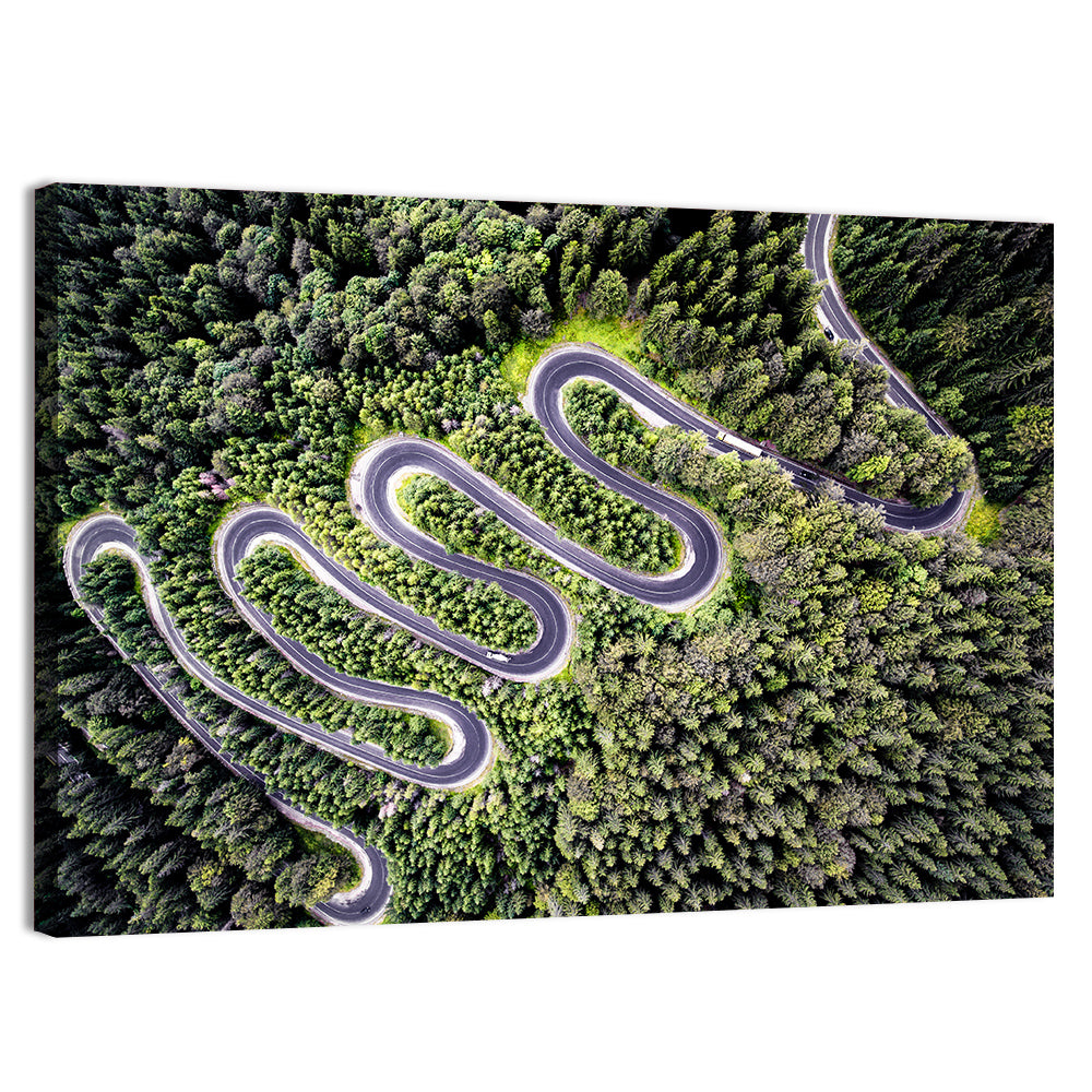 Serpentine Mountain Road Wall Art
