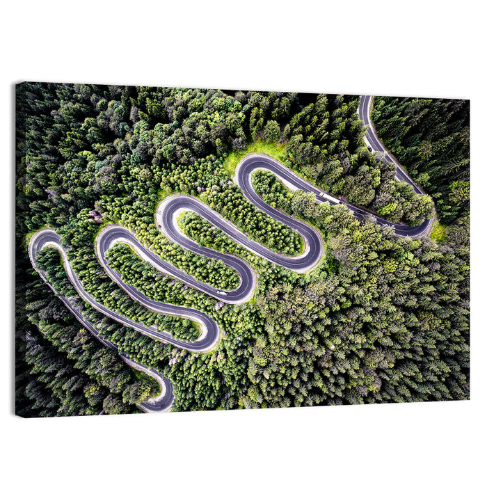 Serpentine Mountain Road Wall Art as a canvas print